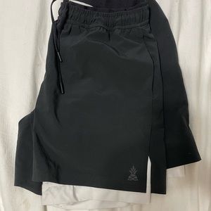 Chubbies 5.5 inseam ultimate training shorts